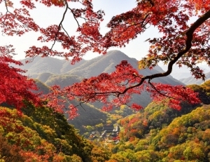 기사이미지